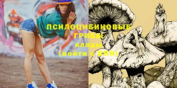 прущие грибы Майский
