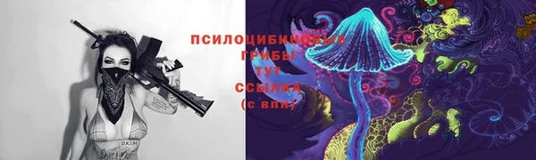 прущие грибы Майский