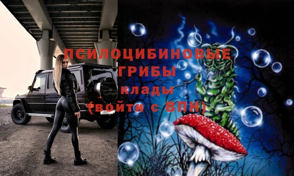 прущие грибы Майский