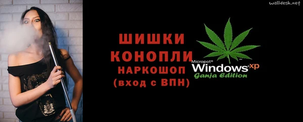 прущие грибы Майский