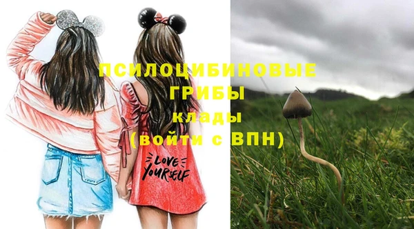 прущие грибы Майский