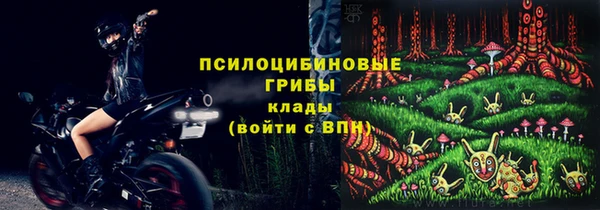 прущие грибы Майский
