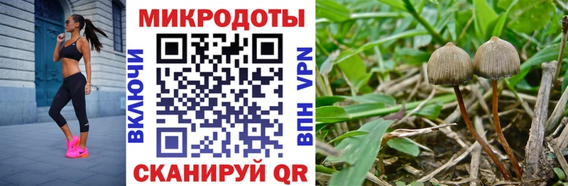 маркетплейс какой сайт Шатура Галлюциногенные грибы мицелий наркота