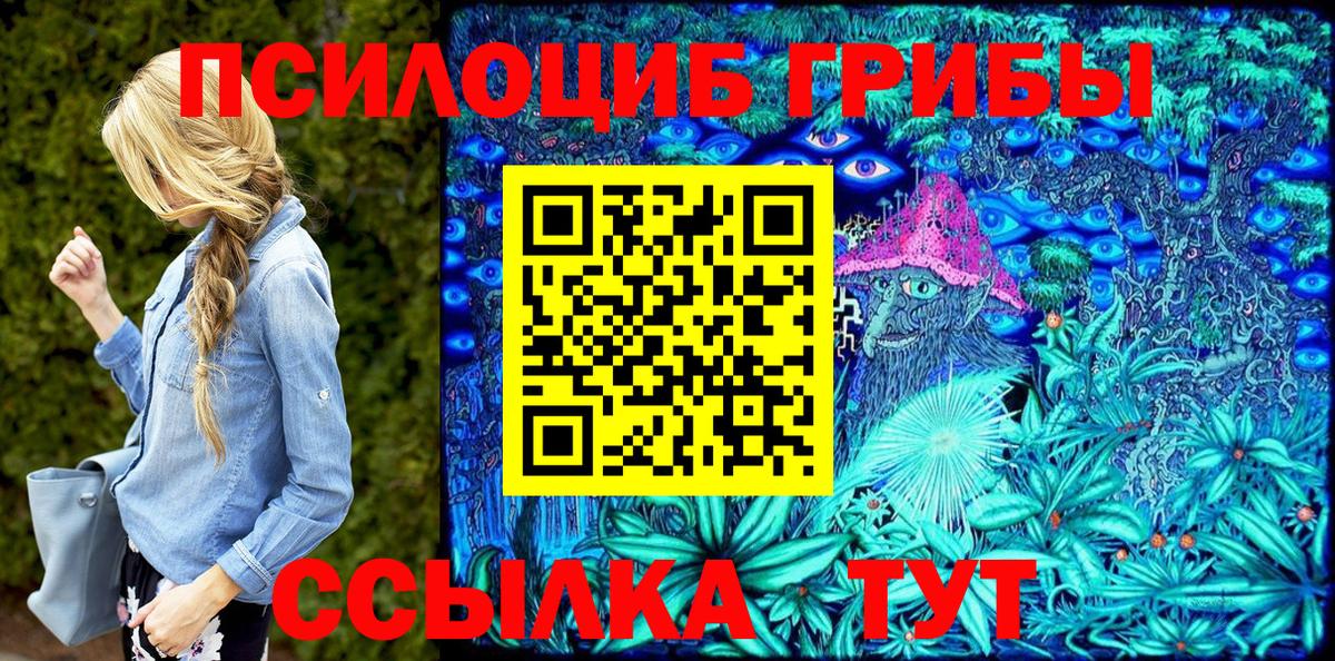 Псилоцибиновые грибы Psilocybe Шатура