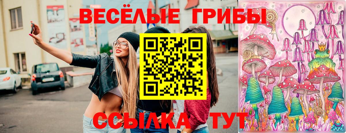 Галлюциногенные грибы Magic Shrooms  Шатура  Псилоцибиновые грибы Cubensis 