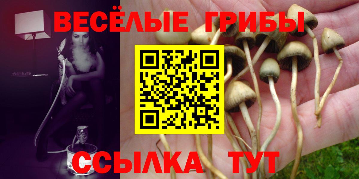 Галлюциногенные грибы мицелий Шатура