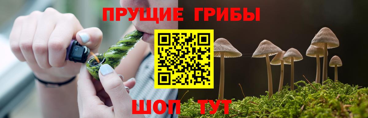 Псилоцибиновые грибы Psilocybe  Вход с VPN  Шатура  закладка  Галлюциногенные грибы мухоморы 